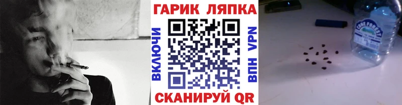 ГАШ Ice-O-Lator Амурск