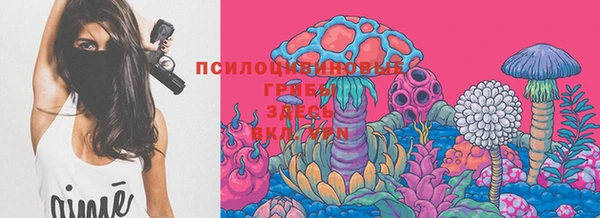 прущая мука Гусев