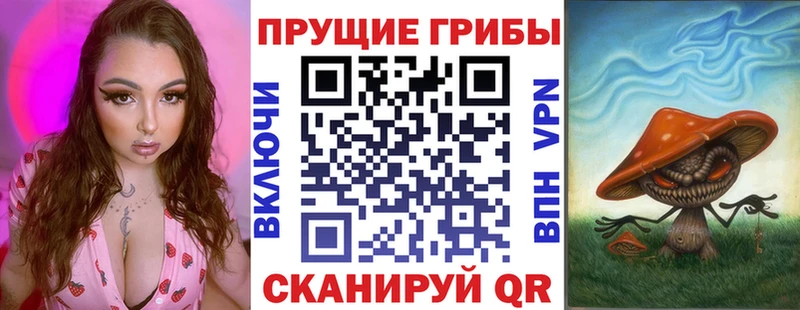 Галлюциногенные грибы Psilocybine cubensis Амурск